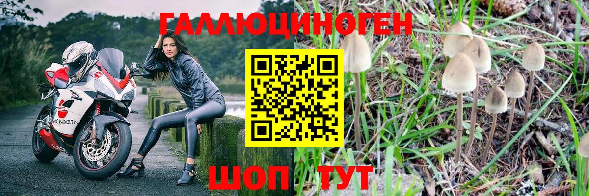где продают наркотики  Галлюциногенные грибы Psilocybe  Вход с VPN  Алатырь  Псилоцибиновые грибы ЛСД 