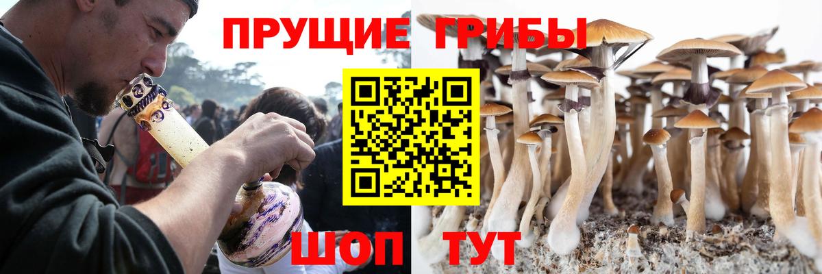 Галлюциногенные грибы прущие грибы Алатырь